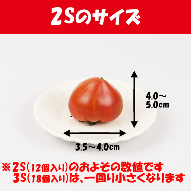 フルーツトマトうまかんべェ〜 800g A品（2S・3Sサイズ）【約12