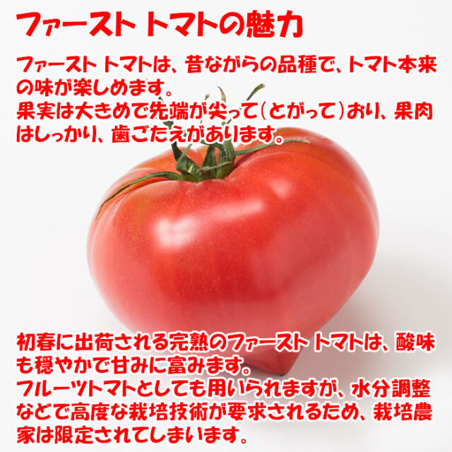 完熟トマト 3.5kg 無選別（M/Sサイズ混在 約6～10個）【季節野菜