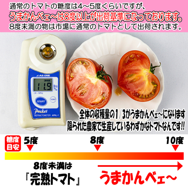 フルーツトマトうまかんべェ～ 500g 訳あり/B品【サイズ表記なし