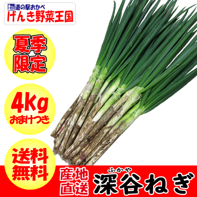 深谷ねぎ 楽天市場】土付き深谷ねぎ6Kgセット 購入特典付き【産地直送 無