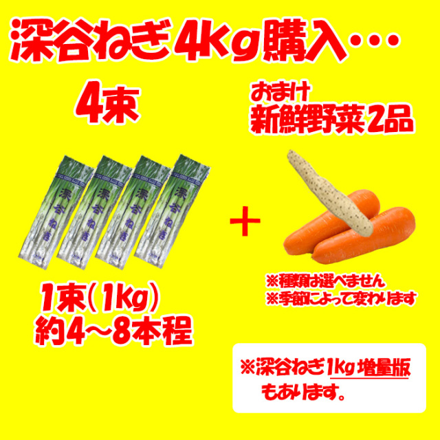 土付き深谷ねぎ4Kgセット 無選別 【購入特典：新鮮野菜2点、送料無料