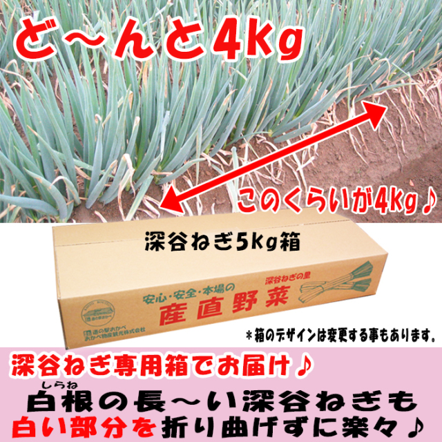 土付き深谷ねぎ4Kgセット 無選別 送料無料 埼玉県深谷市産 産地直送 常温発送/クール便 土付き深谷ねぎ4Kgセット 無選別 送料無料 埼玉県深谷市産 産地直送 常温発送/クール便