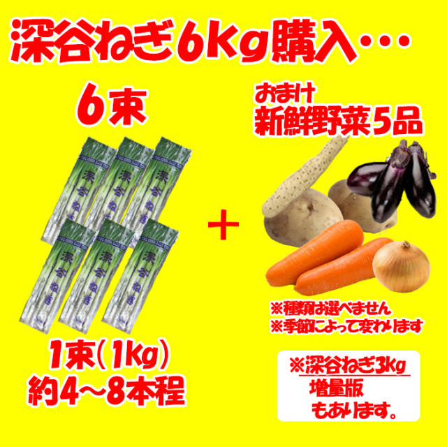 深谷ねぎ6kg＋野菜5品