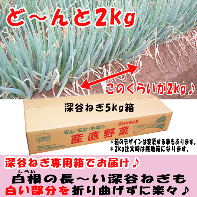【訳あり】深谷ねぎ　15kg 箱　2/3まで！ 夏季限定 土付き深谷ねぎ2Kgセット 無選別