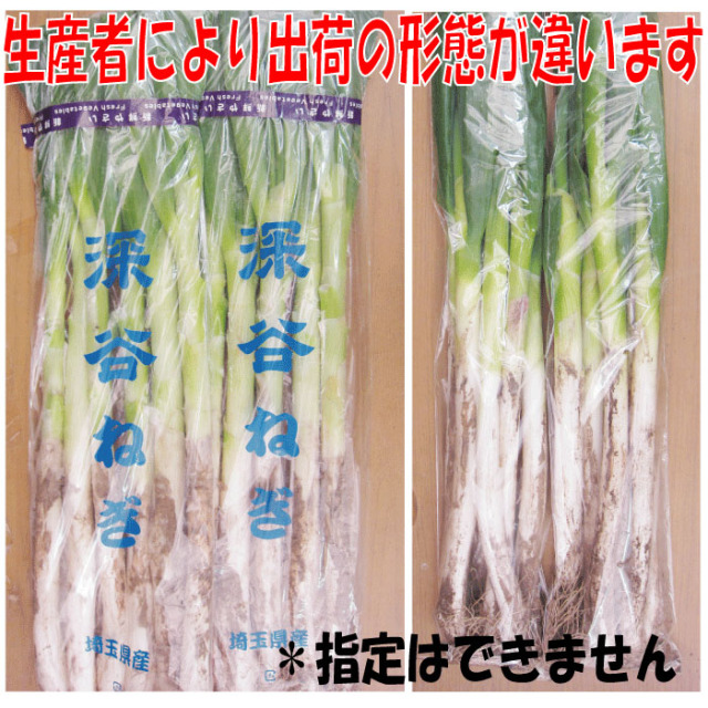 深谷 ねぎ たっぷり ネギ M〜LL 野菜 深谷ネギ  15キロ　専用 深谷ネギ規格外(剥き）サイズ色々で特価！！ | 野菜/ねぎ 産直