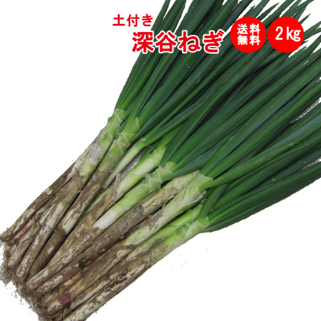 土付き深谷ネギ2kg【送料無料】