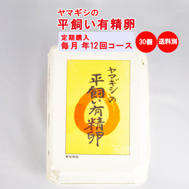 ヤマギシの平飼い有精卵 約30個入り