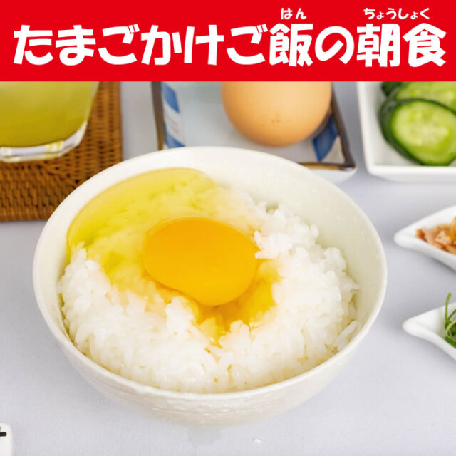 ヤマギシの平飼い有精卵 約15個入り 送料別【ヤマギシズム生活 榛名実