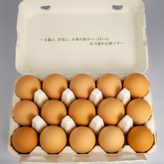 ヤマギシの平飼い有精卵 約15個入り 送料別【ヤマギシズム生活 榛名実