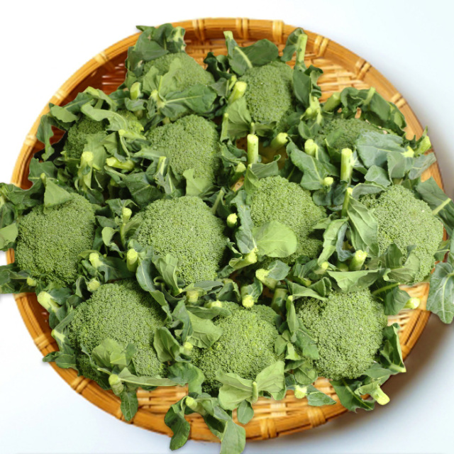 ブロッコリー箱売り（12個入り）