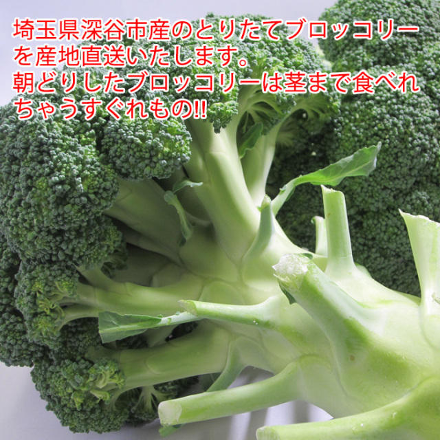 ゆ*ー様 【初オークション価格】1月5日まで。ブロッコリー種子（深碧