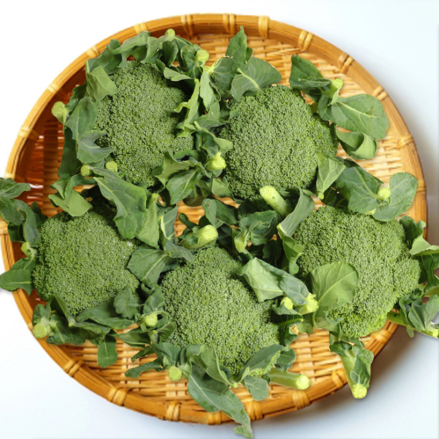 ブロッコリー Lサイズ 5玉 朝どり 露地栽培 産地直送【送料別 常温