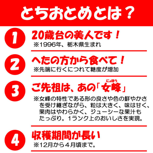 いちご とちおとめ 4パック（約280g x 4パック）【送料別12月～4月