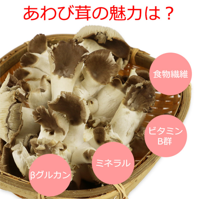 菌床 あわび茸