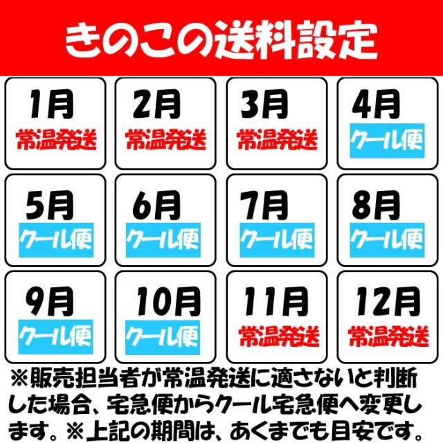 菌床 あわび茸