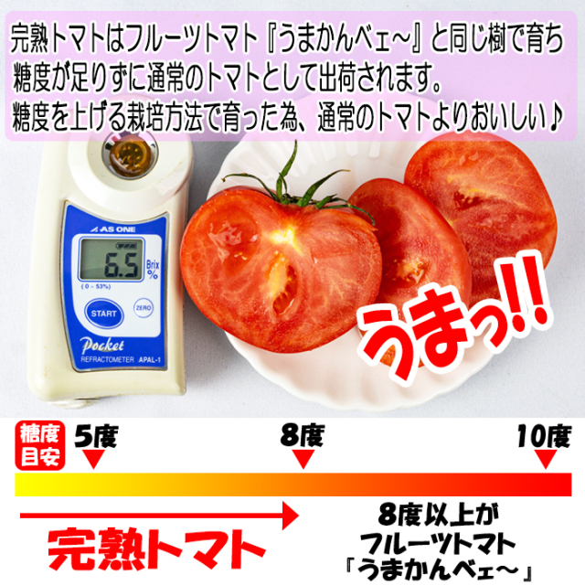 完熟とまと 今期の販売は終了いたしました】完熟トマト 1kg 無選別（M/Sサイズ混在