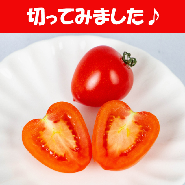 トマトベリー 700g 無選別（サイズ表記なし）【季節野菜 4月～6月 埼玉