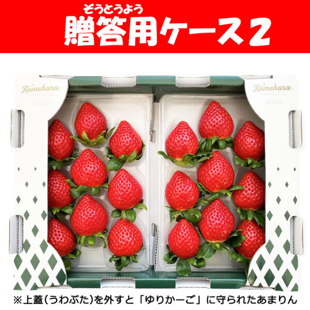 先行予約開始 出荷:1月中旬以降】高級いちご 彩のあまりん 2パック