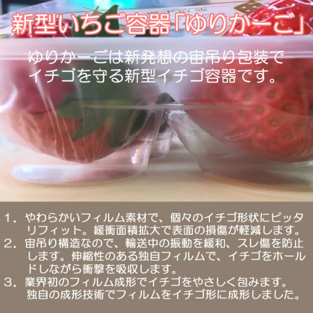 先行予約開始 出荷：3月中旬以降】高級いちご 春のあまりん 2