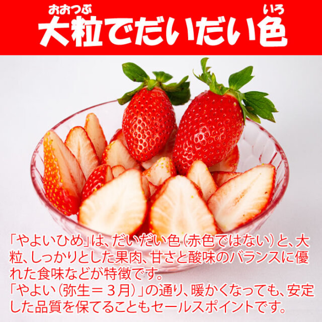 いちご やよいひめ 4パック（約280g x 4パック）【送料別12月～4月