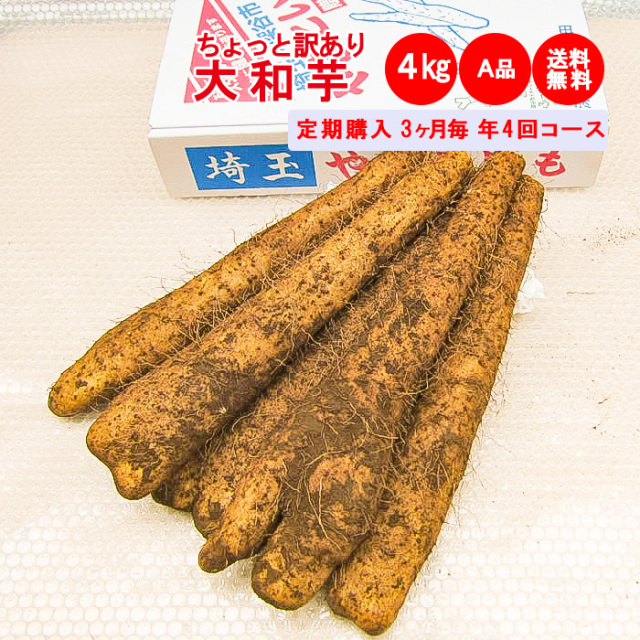 4KgA品：ちょっと訳あり定期購入4回コース