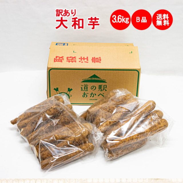 3.6Kg B品:訳あり【送料無料】