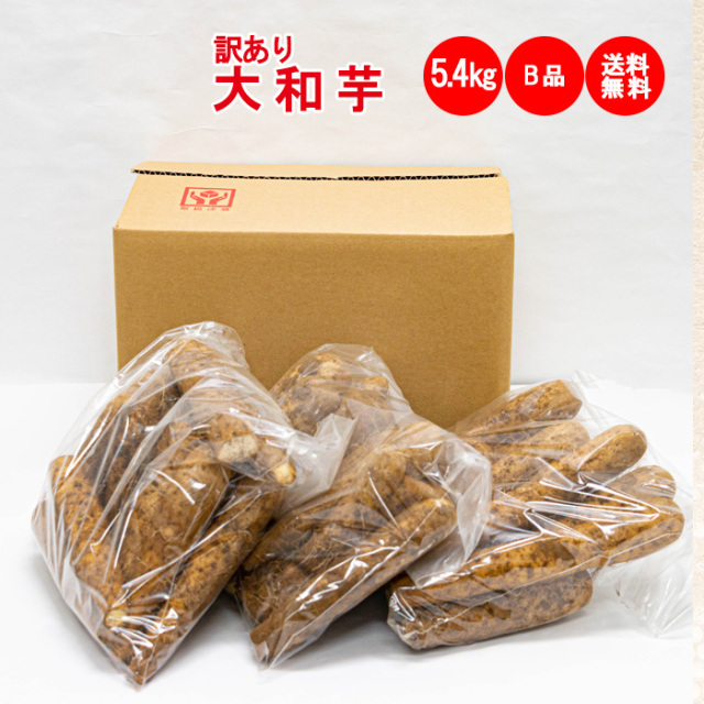 大和芋_5.4Kg B品:訳あり【送料無料】