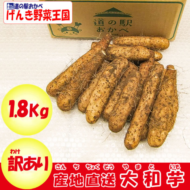 大和芋1 8kg 1 8kg X 1袋 B品 訳あり 同梱にオススメ ねっとりやまといも