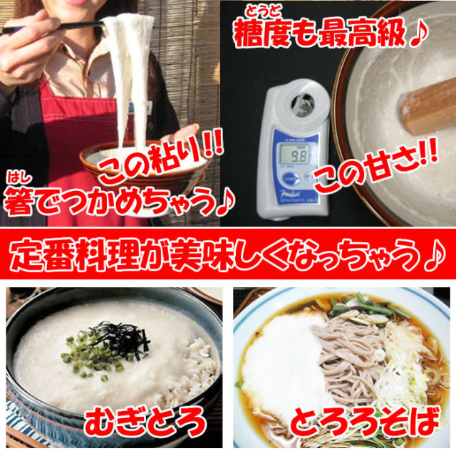 大和芋3.6Kg（1.8Kg x 2袋） B品：訳あり 送料無料 ねっとりやまといも