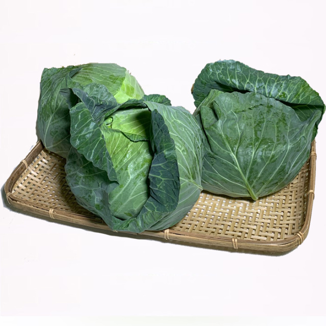 キャベツ 3玉 Lサイズ／約3.6～4.5kg