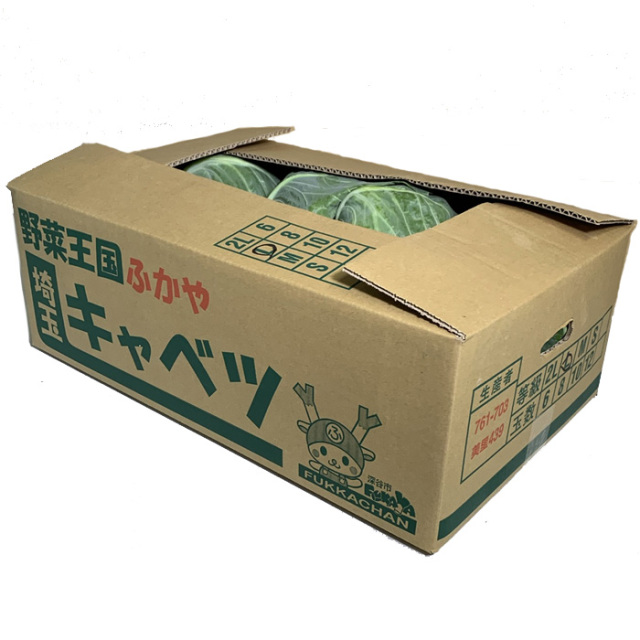 キャベツ 8玉 Lサイズ／約9.6kg～箱売り