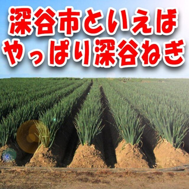 深谷ねぎせんべい 45袋