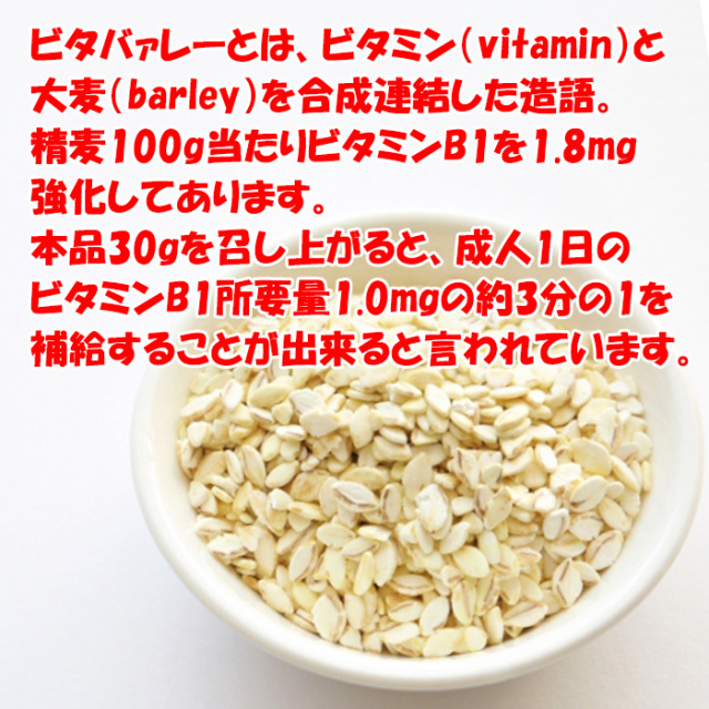 ビタバァレー 540g（45gx12袋）
