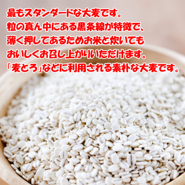 押麦 540g（45gx12袋）