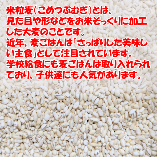 米粒麦 540g（45gx12袋）