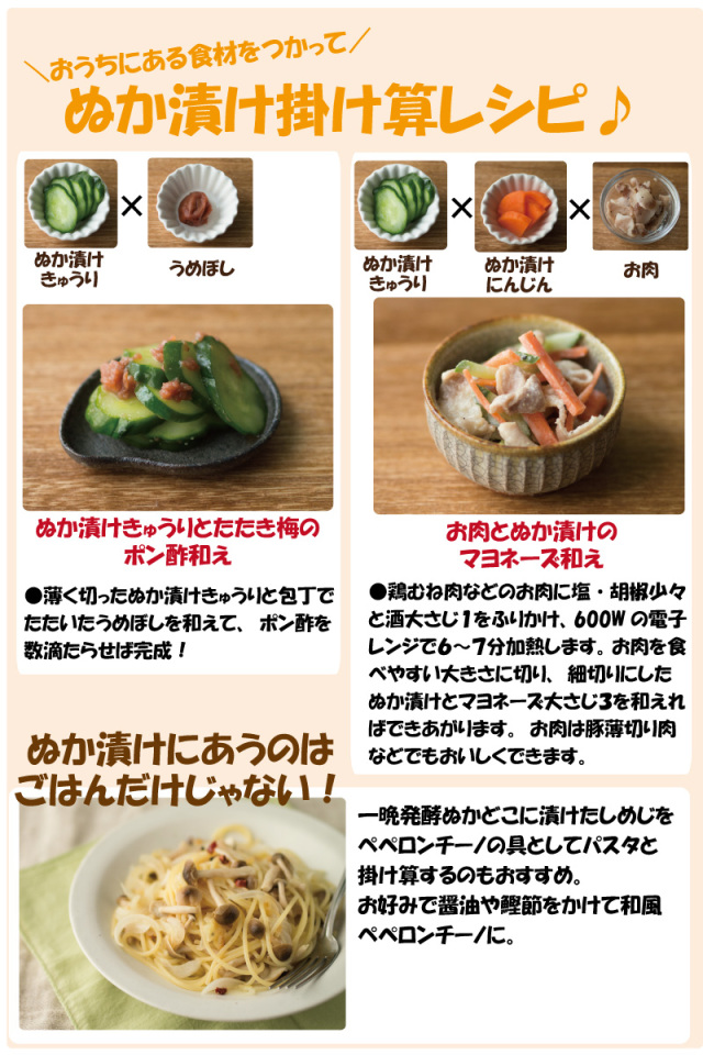 発酵ぬかどこ 1㎏ みたけ食品