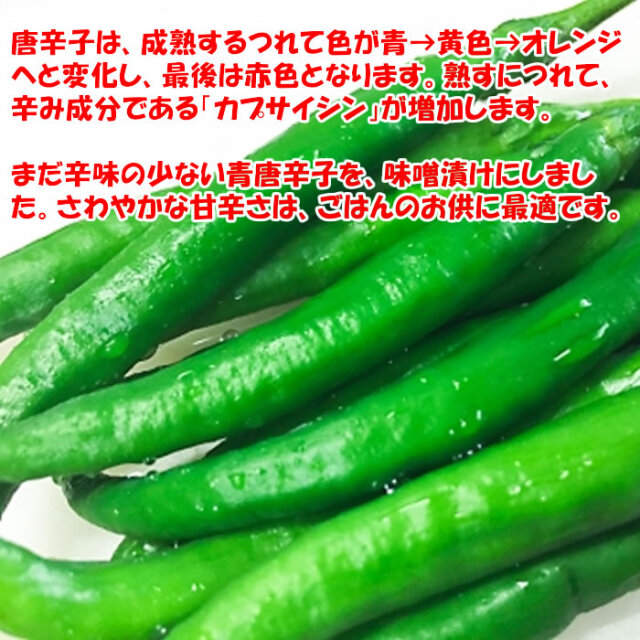 青唐辛子味噌