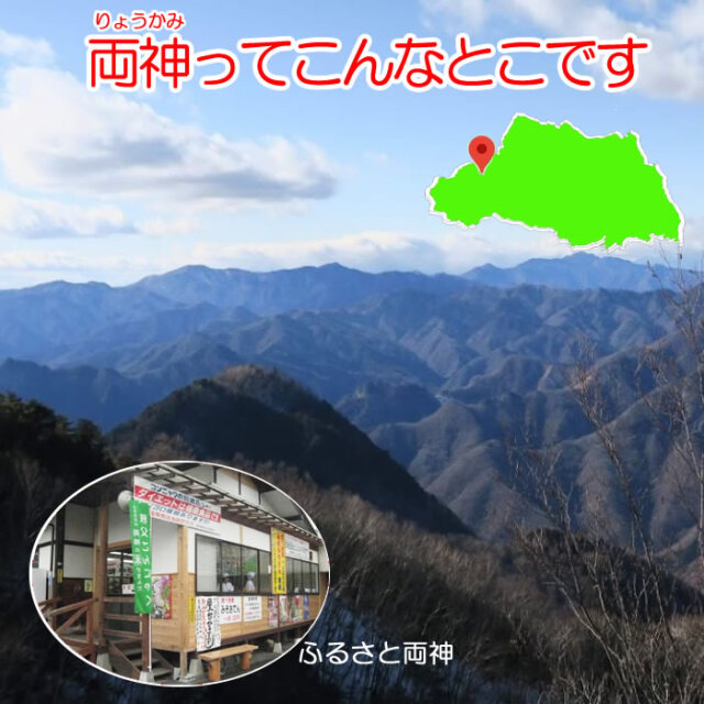 秩父こんにゃく300g大玉