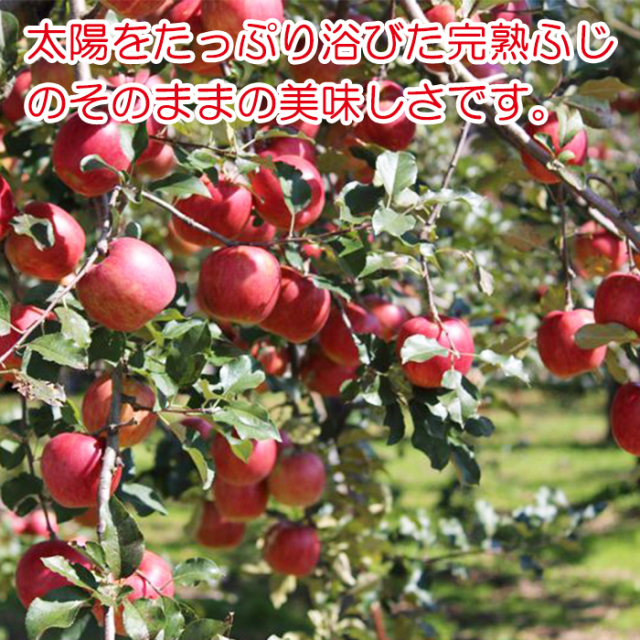 旬感搾り 林檎（リンゴ）ジュース 1000ml 清水家