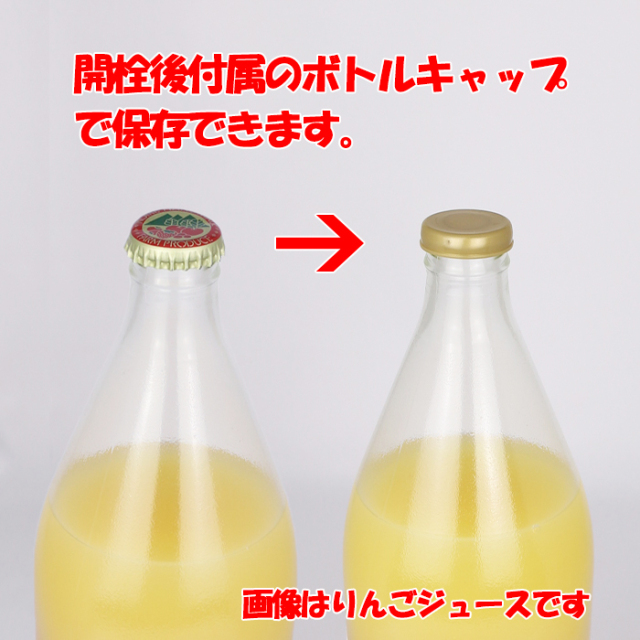 旬感搾り 林檎（リンゴ）ジュース 1000ml 清水家