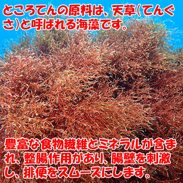 さわやかところてん 900g