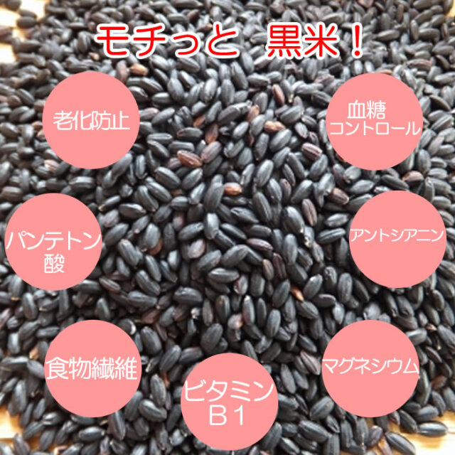 国内産 古代黒米 300g