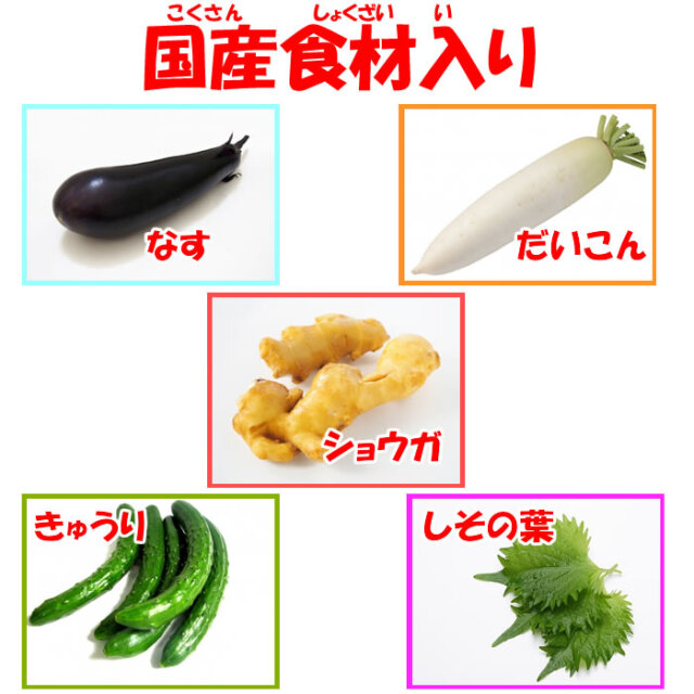 国産道の駅漬