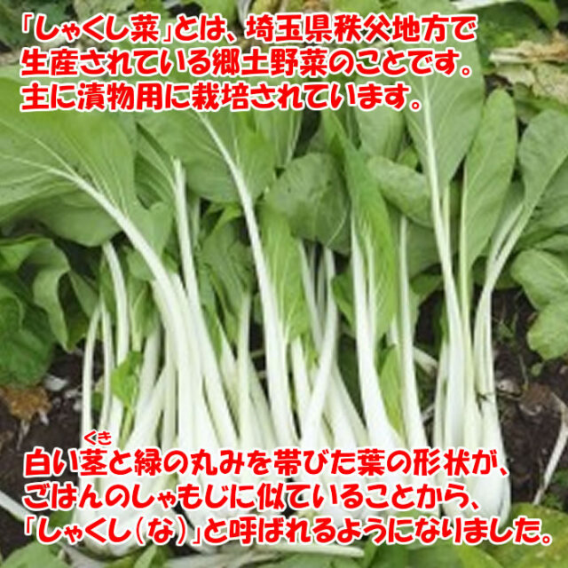シャクシ菜漬