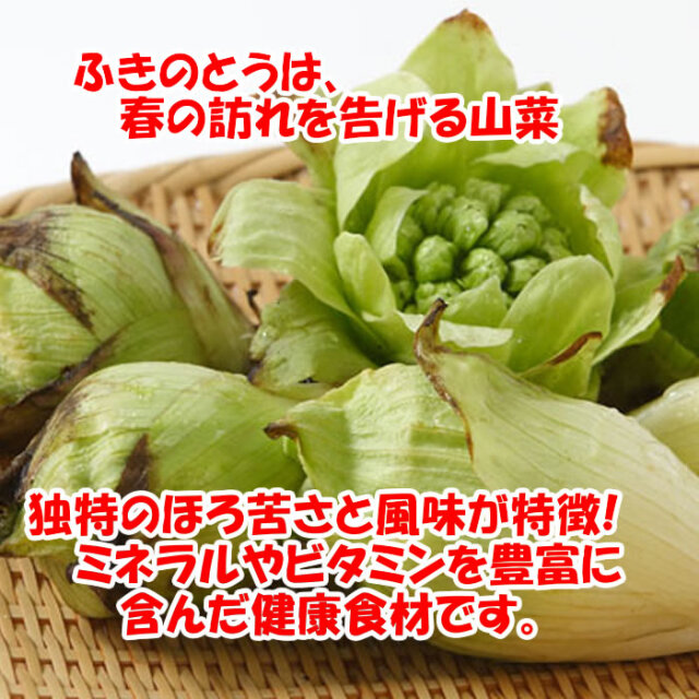 ふきのとうと海苔の佃煮