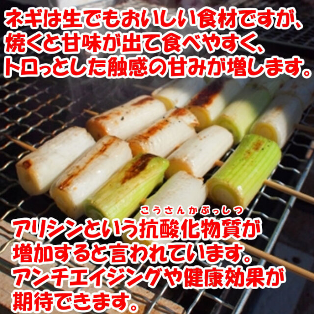 深谷焼きねぎ秩父味噌