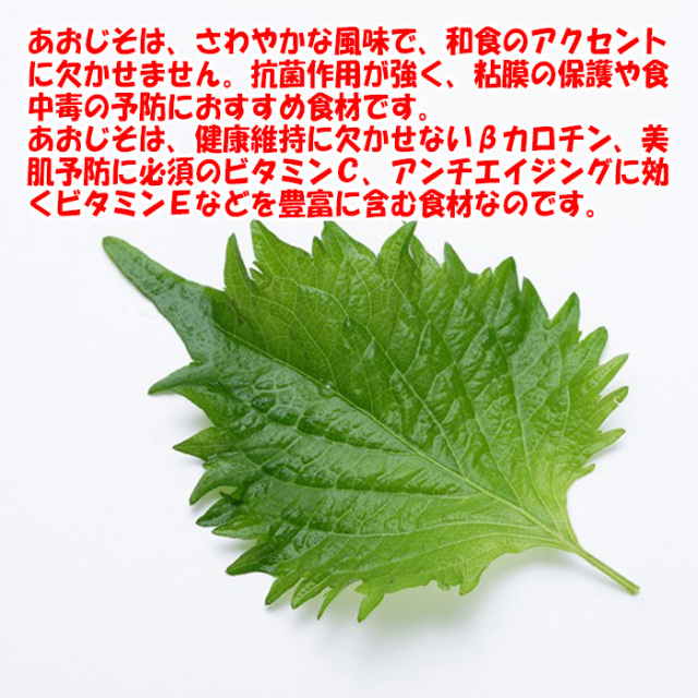 ちょいたし青じそですよ 200ｇ（清水家）