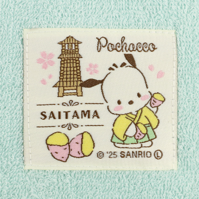 埼玉限定 サンリオ ポチャッコタオル ミントグリーン【あすなろ舎 】【BS】