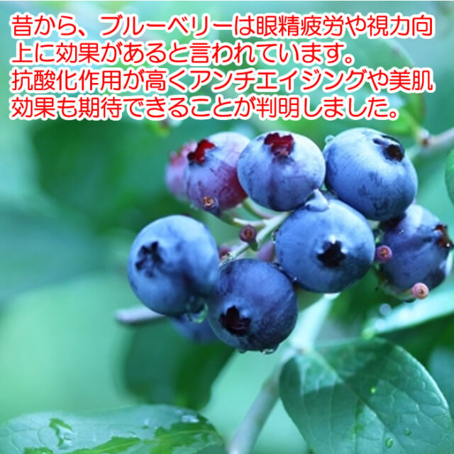 旬感搾り ブルーベリー 720ml