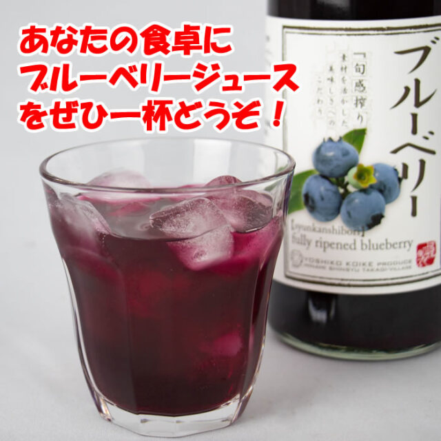 旬感搾り ブルーベリー 720ml